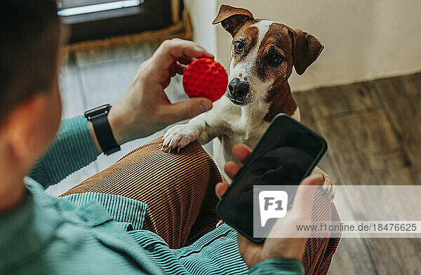 Mann hält Smartphone und spielt zu Hause mit Hund