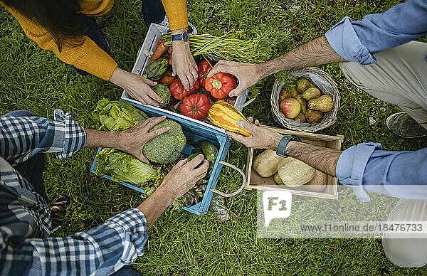 Friends taking vegetables from crate