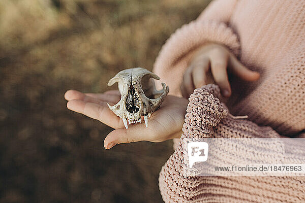 Girl holding animal skull in hand