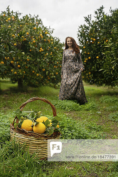 Basket of oranges with woman standing in background