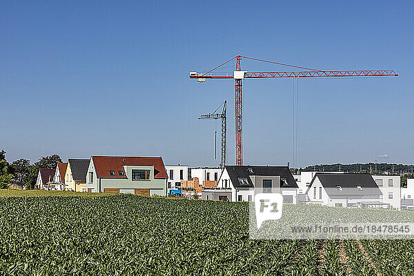 Germany  Baden-Wurttemberg  Ludwigsburg  Field in front of suburban houses with industrial cranes standing in background