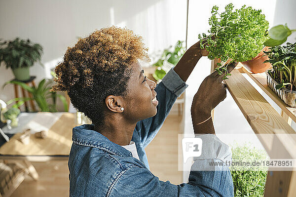 Junge Frau hält zu Hause frische Topfpflanzen im Regal
