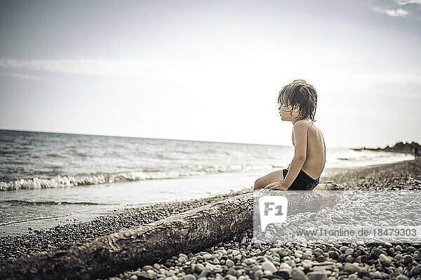 Shirtless boy sitting on log at beach