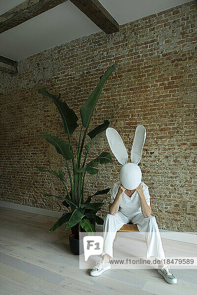 Frau mit Hasenmaske sitzt auf einem Stuhl neben einer Topfpflanze