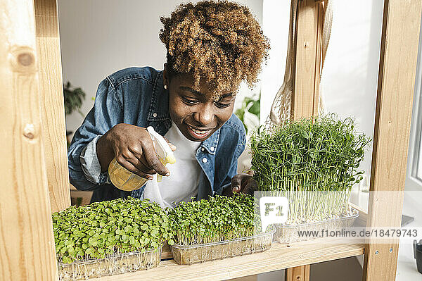 Lächelnde Frau sprüht grüne frische Pflanzen auf das Regal
