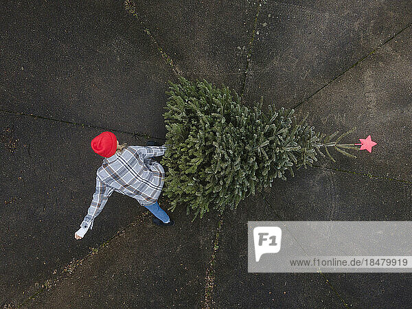 Mature woman disposing Christmas tree