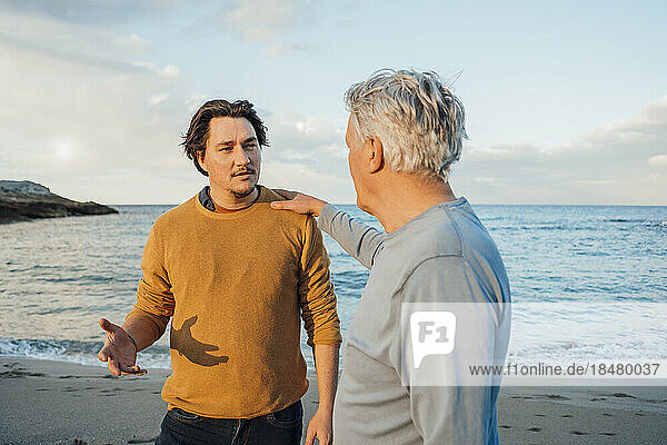Father and son having discussion at beach