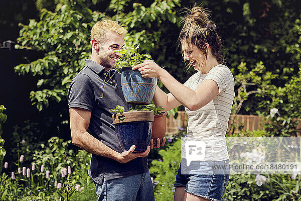 Happy woman helping boyfriend carrying potted plants in back yard