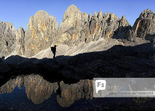 Woman hiking on sunny day at Pala di San Martino mountain  Dolomites  Italy