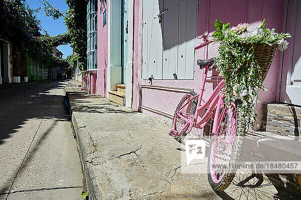 Flowers in Pink bicycle basket by house wall on footpath