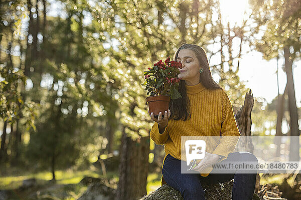 Mature woman sitting on a rock smelling at potted flower