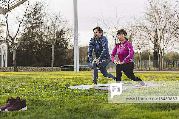 Mature couple exercising in park