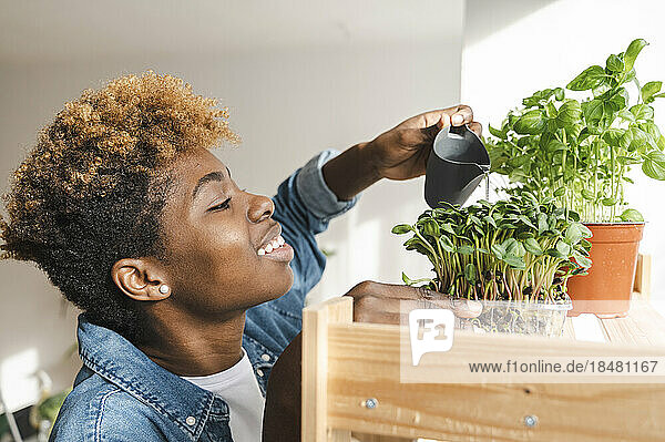 Smiling woman watering sunflower microgreen on shelf at home