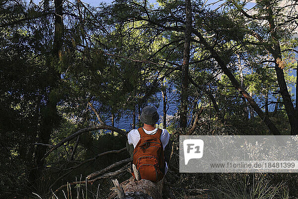 Wanderer sitzt mit Rucksack auf Baumstamm im Wald und blickt aufs Meer