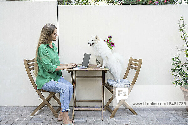 Freelancer and dog with laptop sitting on table by wall