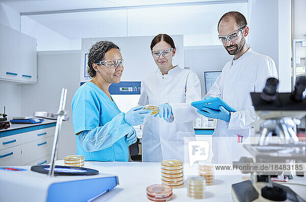 Three scientists working together in a microbiological lab