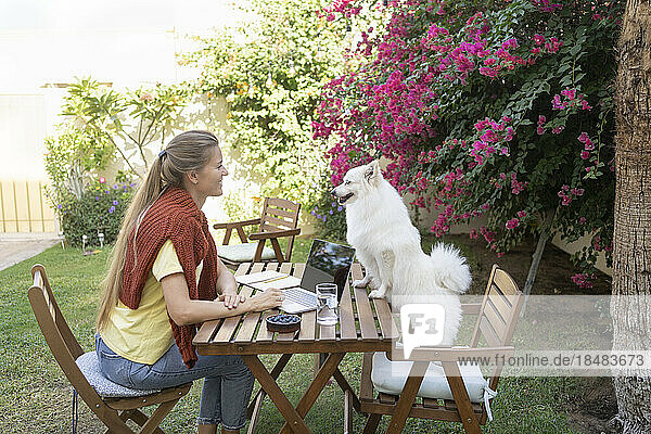 Freelancer and dog sitting on table in garden