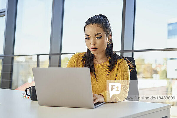 Junge Geschäftsfrau arbeitet am Laptop am Schreibtisch im Büro