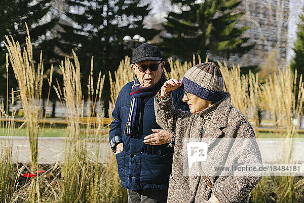 Senior couple talking at park