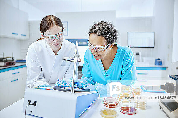 Two female scientists analyzing a sample in a microbiological lab