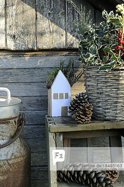 Stool  pine cones  potted plants and simple paper house