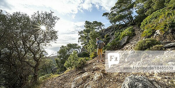 Hikers walking to La Trapa from Sant Elm  in light forest  Serra de Tramuntana  Majorca  Spain  Europe