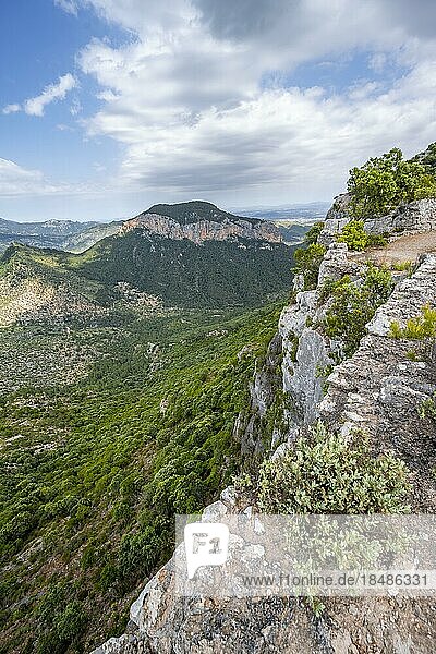 Blick über die Berge der Serra de Tramuntana  Castell Alaró  Puig dAlaró  Mallorca  Spanien  Europa