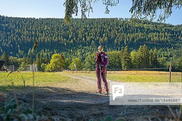 Hiking woman looking at the forest  Sprollenhäuser Hut  Bad Wildbad  Black Forest  Germany  Europe