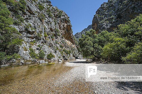 Schlucht mit Fluss Torrent de Pareis  Sa Calobra  Mallorca  Balearen  Spanien  Europa