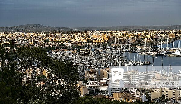 Ausblick über Palma de Mallorca im Abendlicht  mit Hafen mit Segelbooten  Kathedrale und Königspalast La Almudaina  Palma de Mallorca  Mallorca  Balearen  Spanien  Europa