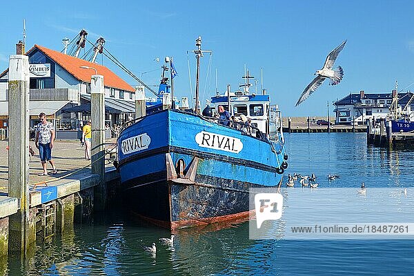 Oudeschild  Texel  North Netherlands  August 2019: Blue boat called Rival anchored at Oudeschild harbor with people on board offering sport fishing tours to tourists on island Texel