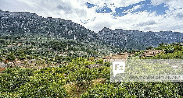 Ausblick auf Gärten mit Orangenbäumen und Fincas  Wanderweg von Soller nach Fornalutx  Serra de Tramuntana  Mallorca  Balearen  Spanien  Europa