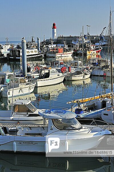 Fishing boats in the harbour at La Cotinière on the island Ile dOléron  Charente-Maritime  France  Europe
