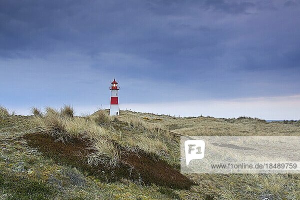 Red and white striped lighthouse List East  List-Ost on the Ellenbogen peninsula on the island Sylt  North Frisia  Schleswig-Holstein  Germany  Europe