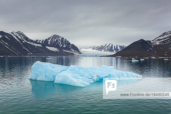 Eisscholle vor dem Monacobreen  Gletscher im Haakon VII Land  der in den Liefdefjorden mündet  Spitzbergen  Svalbard