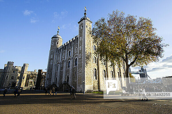 Tower of London  UNESCO World Heritage Site  London  England  United Kingdom  Europe