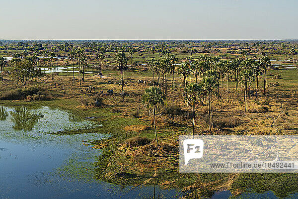 Luftaufnahme des Okavango-Deltas  UNESCO-Welterbe  Botswana  Afrika