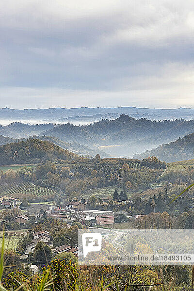 Hügel und Weinberge der Langhe  UNESCO-Welterbe  an einem Herbsttag  Alba  Langhe  Bezirk Cuneo  Piemont  Italien  Europa