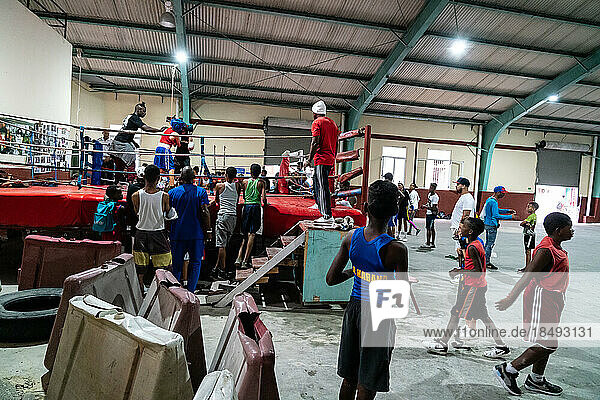 Young boxers in training  Boxing Academy Trejo  Havana  Cuba  West Indies  Caribbean  Central America