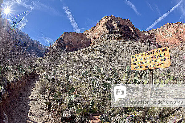 Ein Schild entlang des Bright Angel Trail im Grand Canyon  das darauf hinweist  dass die Pflanzen in diesem Gebiet sehr empfindlich sind  Grand Canyon National Park  UNESCO-Weltkulturerbe  Arizona  Vereinigte Staaten von Amerika  Nordamerika