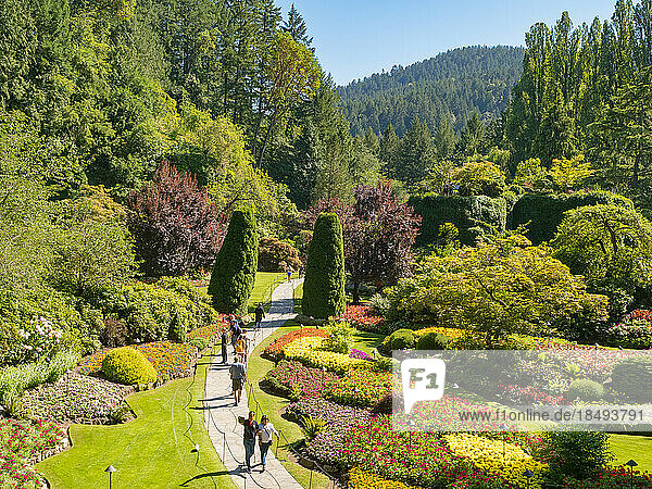 Der versunkene Garten in Victorias Butchart Gardens  angelegt in einem ehemaligen Kalksteinbruch  ab 1904  Victoria  Vancouver Island  British Columbia  Kanada  Nordamerika