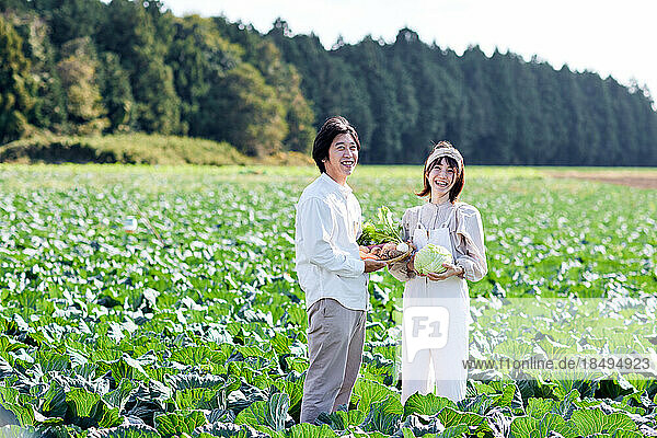Japanese family working at vegetable garden
