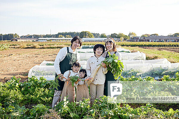 Japanese family working at vegetable garden