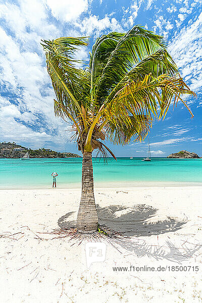 Woman on a palm-fringed beach  Antilles  Caribbean
