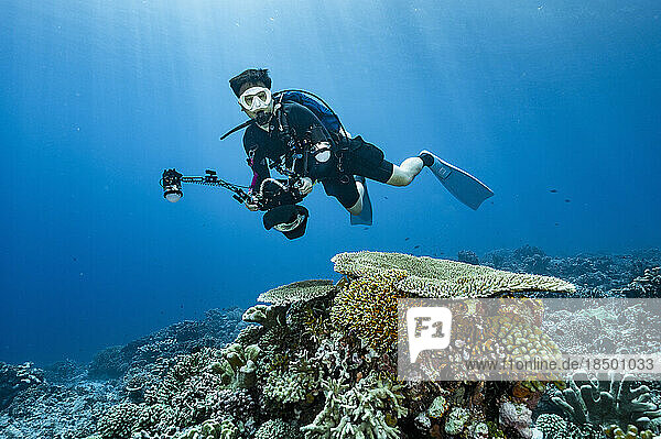 underwater photographer exploring a reef at Banda Sea / Indonesia