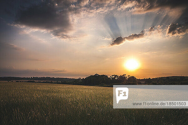 sunset over gloucestershire fields with dramatic rays and clouds