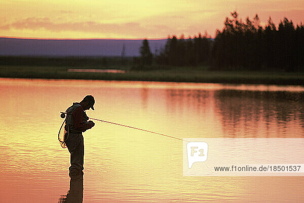 Silhouette of a fly-fisherman selecting a fly.