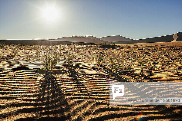 Silhouette of desert during sunrise  Sossusvlei  Namibia  Africa