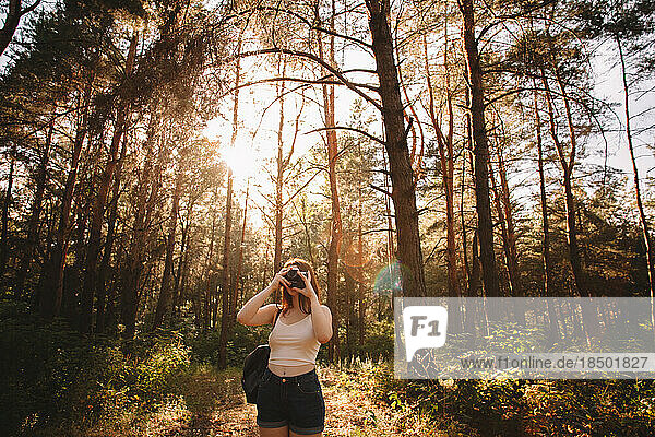 Woman photographing with camera in forest during summer