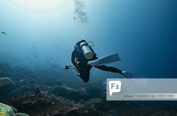 diver exploring the clear waters of the Gulf of Thailand